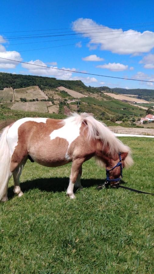 Casinha De Ferias No Campo - Quintinha Dos Cavalos - Arruda Dos Vinhos Sabugos エクステリア 写真