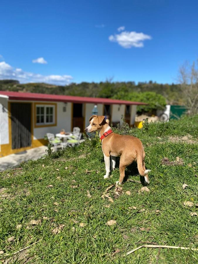Casinha De Ferias No Campo - Quintinha Dos Cavalos - Arruda Dos Vinhos Sabugos エクステリア 写真