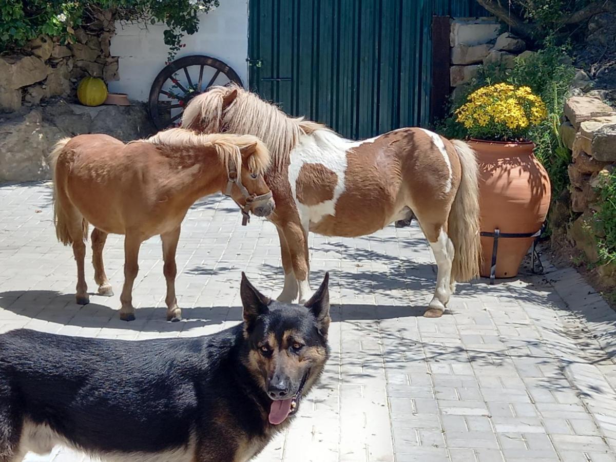 Casinha De Ferias No Campo - Quintinha Dos Cavalos - Arruda Dos Vinhos Sabugos エクステリア 写真