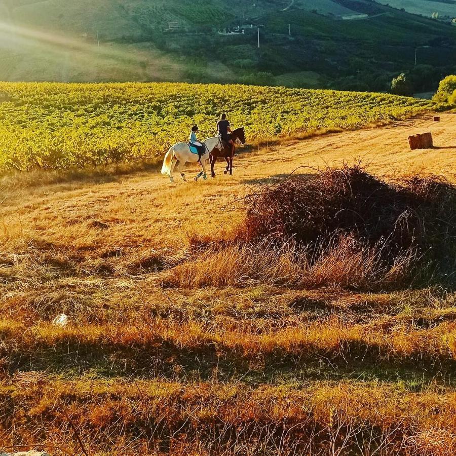 Casinha De Ferias No Campo - Quintinha Dos Cavalos - Arruda Dos Vinhos Sabugos エクステリア 写真
