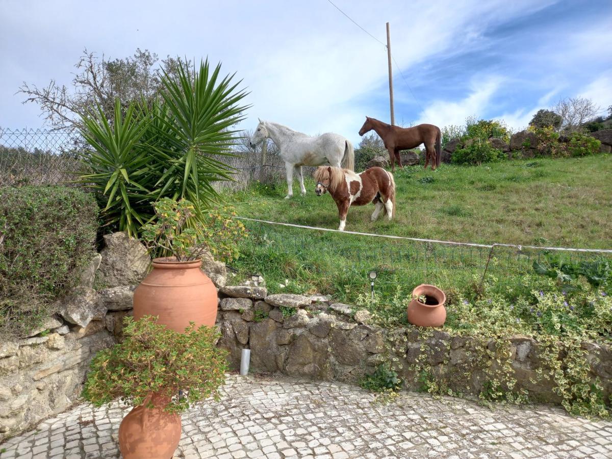 Casinha De Ferias No Campo - Quintinha Dos Cavalos - Arruda Dos Vinhos Sabugos エクステリア 写真