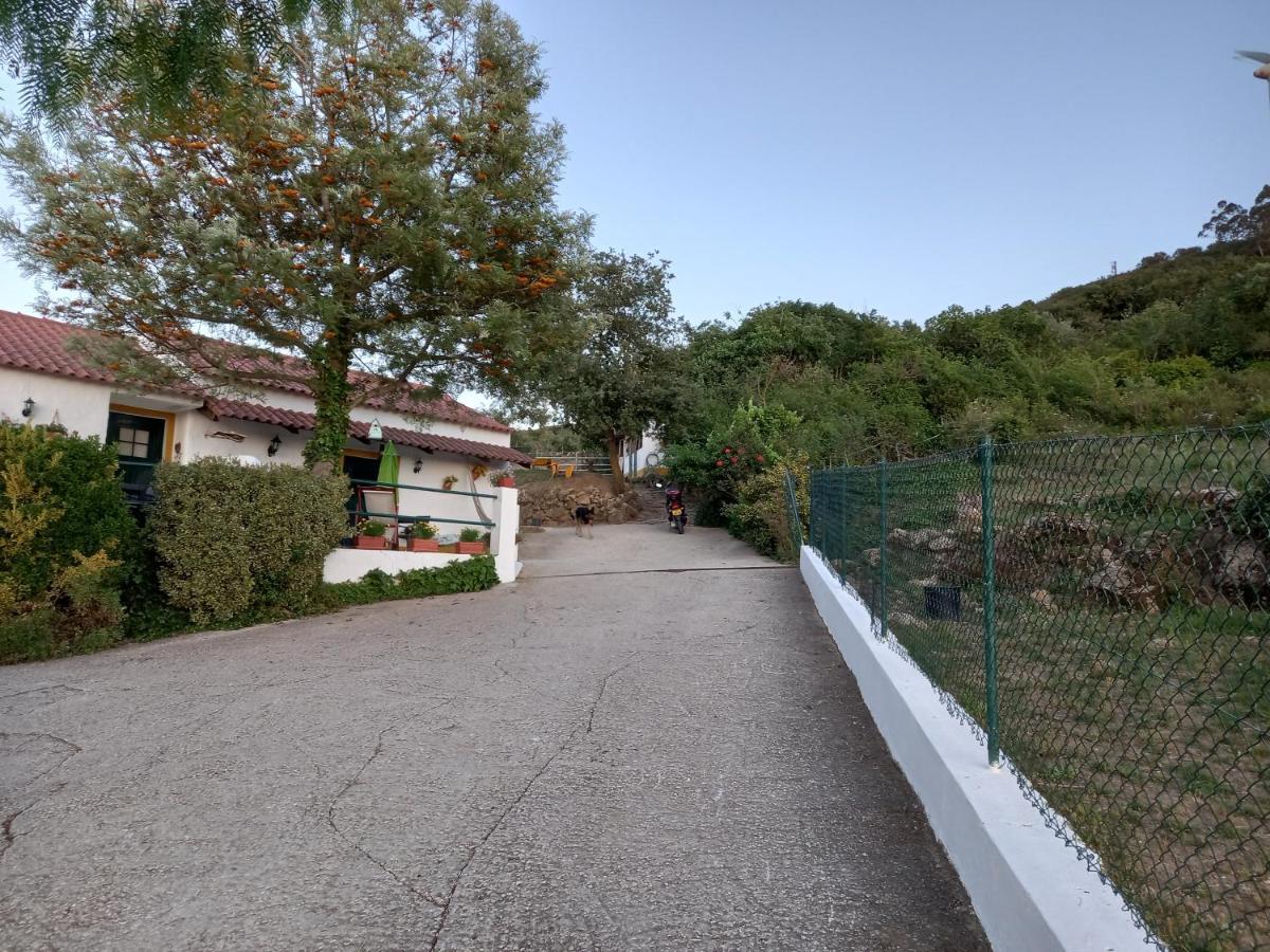 Casinha De Ferias No Campo - Quintinha Dos Cavalos - Arruda Dos Vinhos Sabugos エクステリア 写真